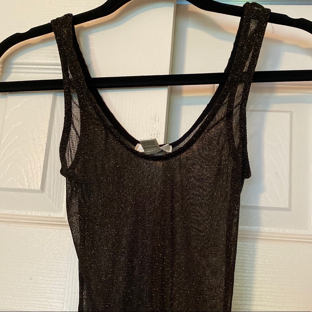 NWT Sheer Shimmery Bodysuit